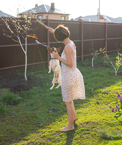 Happy Denver wood fence owner and dog