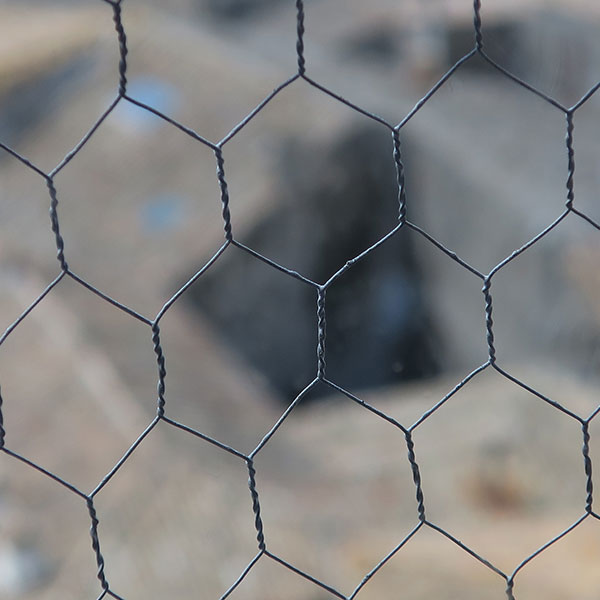 Chicken wire fence