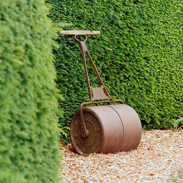 Hedges make for a great dog fence