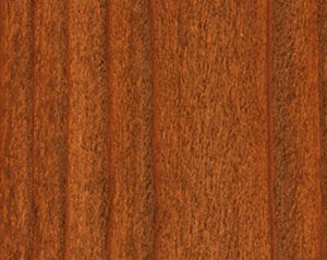 Wood Defender semi transparent cumberland brown stain color