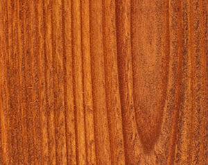 Wood Defender transparent fence cedar tone stain color