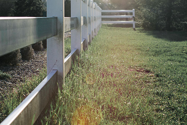 wood fence with metal posts