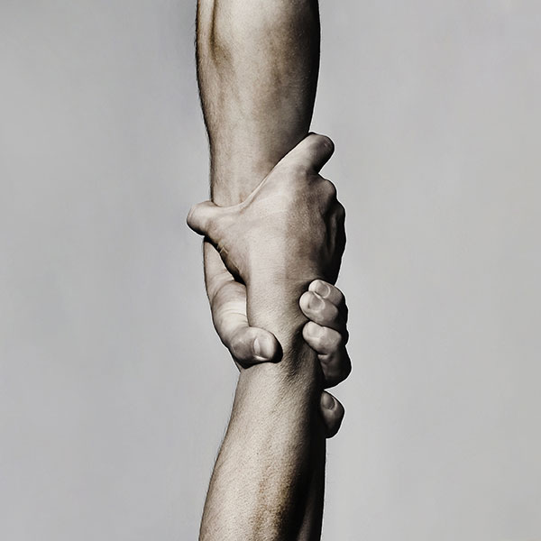 Trust Trust